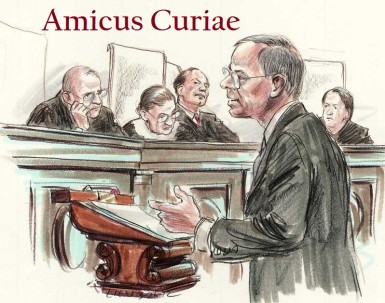 Amicus Curiae 7