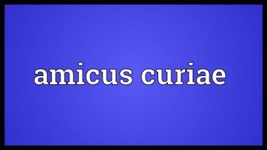 amicus curiae